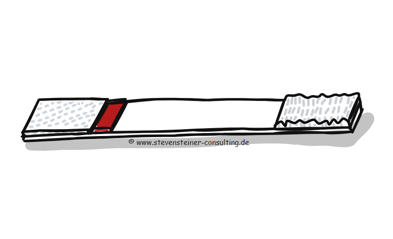 Scheme of a Lateral Flow Test